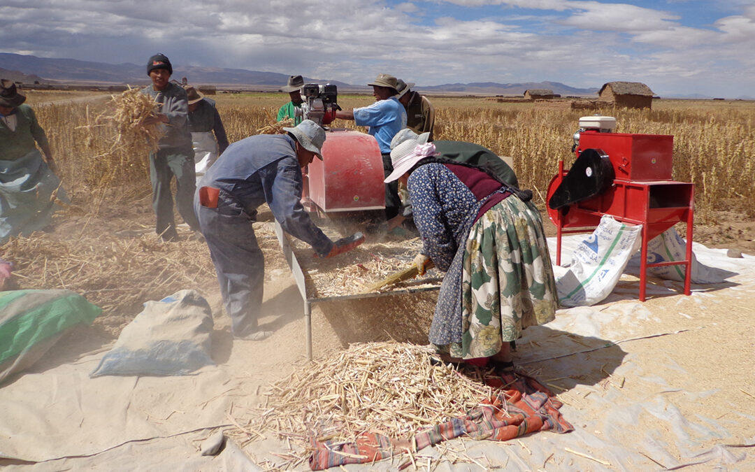 Implementación de planes de agronegocios en asociaciones y comunidades de productores agroecológicos