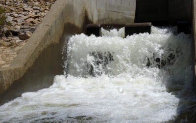 Manejo y conservación de agua de riego para la producción ecológica, en comunidades del municipio de Patacamaya y comunidades del municipio de Batallas