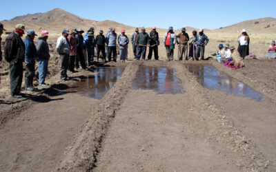 Manejo y conservación de suelos, pradera nativas y agua, para el desarrollo del sector camélido en los municipios de Batallas y Pucarani, ligado al manejo sostenible del recurso agua y la pradera nativa