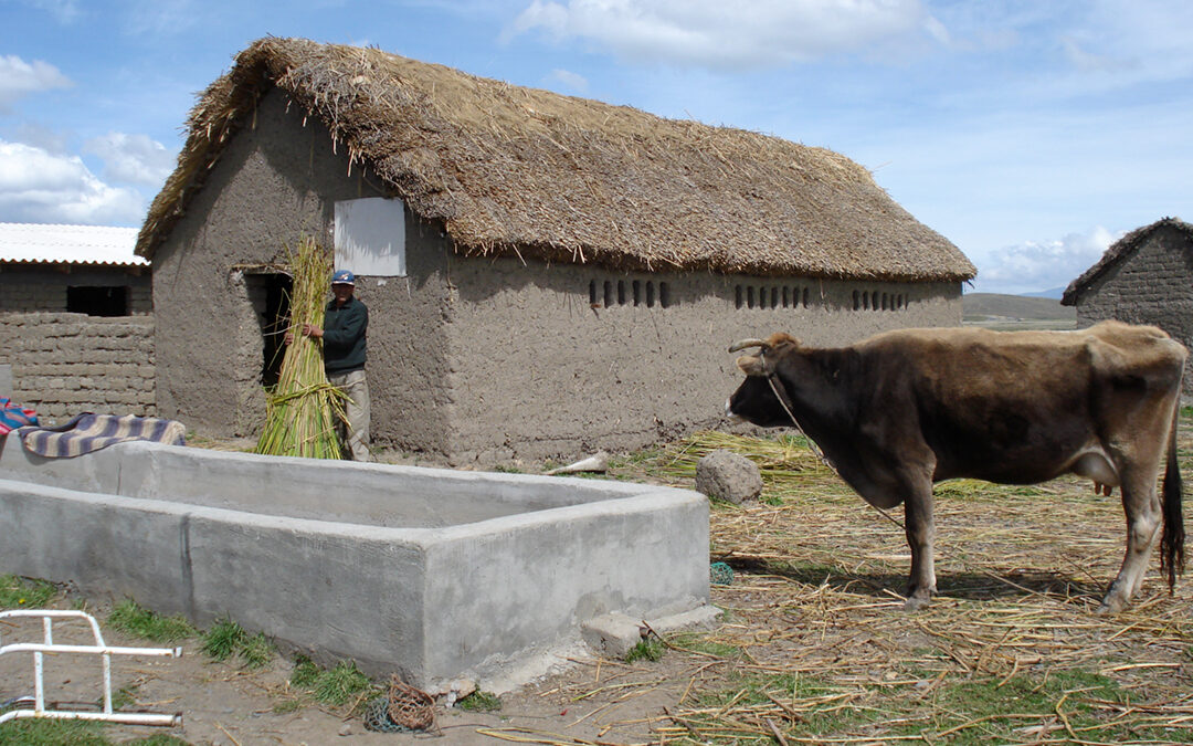 Mejoramiento de la producción lechera bovina y caprinaFases I, II y III