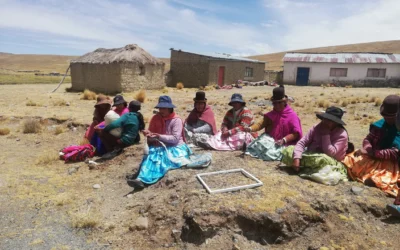 Manejo holístico para la recuperación de suelos degradados en pastizales bolivianos